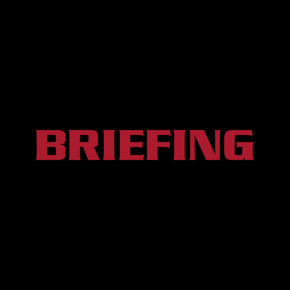 BRIEFING logo